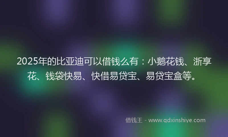2025年的比亚迪可以借钱么有：小鹅花钱、浙享花、钱袋快易、快借易贷宝、易贷宝盒等。
