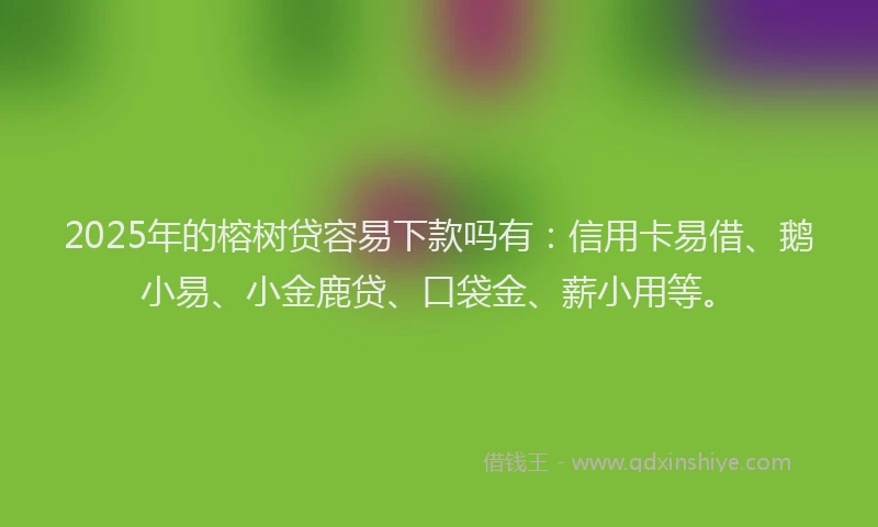 2025年的榕树贷容易下款吗有：信用卡易借、鹅小易、小金鹿贷、口袋金、薪小用等。
