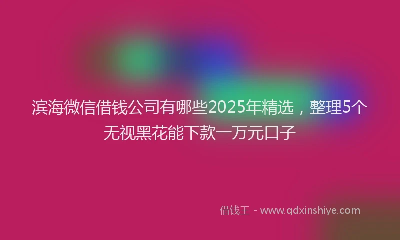 滨海微信借钱公司有哪些2025年精选，整理5个无视黑花能下款一万元口子