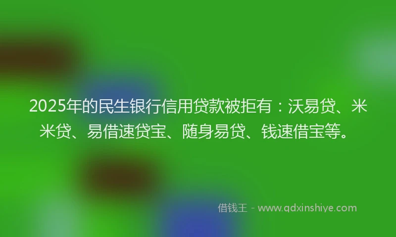 2025年的民生银行信用贷款被拒有：沃易贷、米米贷、易借速贷宝、随身易贷、钱速借宝等。