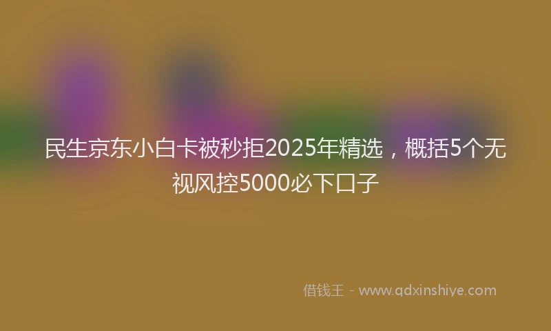 民生京东小白卡被秒拒2025年精选，概括5个无视风控5000必下口子