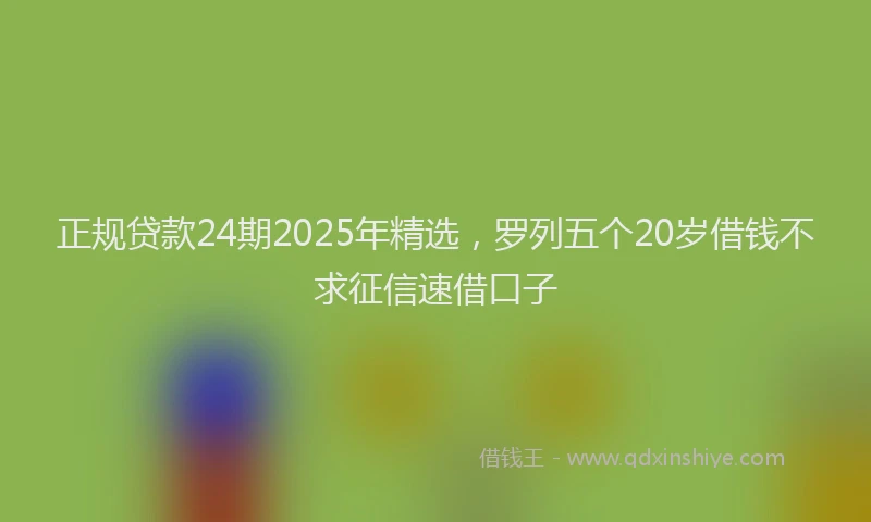 正规贷款24期2025年精选，罗列五个20岁借钱不求征信速借口子