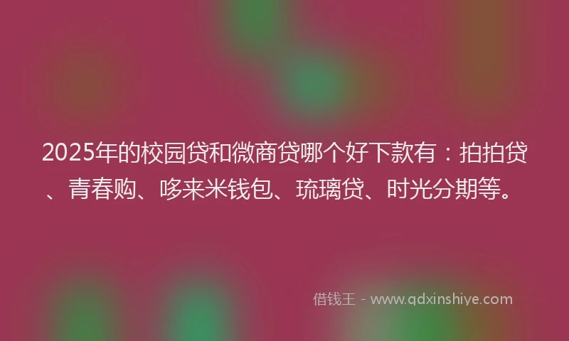 2025年的校园贷和微商贷哪个好下款有：拍拍贷、青春购、哆来米钱包、琉璃贷、时光分期等。