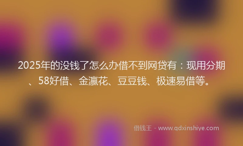 2025年的没钱了怎么办借不到网贷有：现用分期、58好借、金瀛花、豆豆钱、极速易借等。