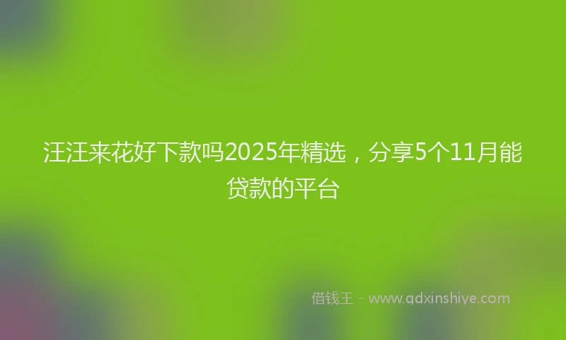 汪汪来花好下款吗2025年精选，分享5个11月能贷款的平台