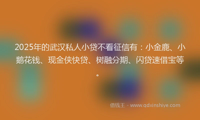 2025年的武汉私人小贷不看征信有：小金鹿、小鹅花钱、现金侠快贷、树融分期、闪贷速借宝等。