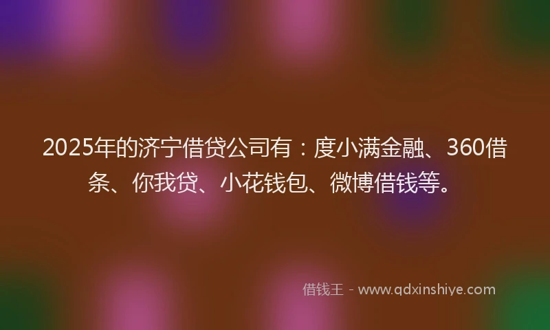 2025年的济宁借贷公司有：度小满金融、360借条、你我贷、小花钱包、微博借钱等。