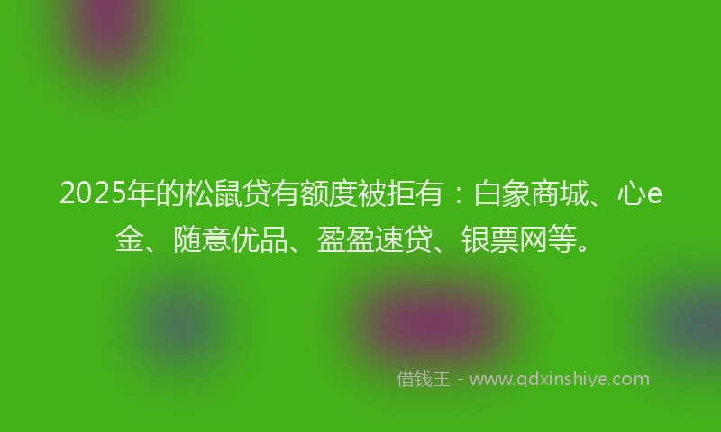 2025年的松鼠贷有额度被拒有：白象商城、心e金、随意优品、盈盈速贷、银票网等。