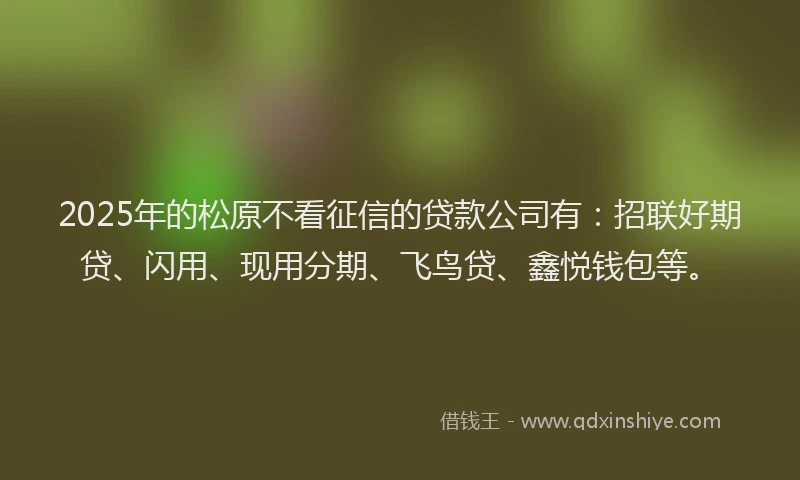 2025年的松原不看征信的贷款公司有：招联好期贷、闪用、现用分期、飞鸟贷、鑫悦钱包等。