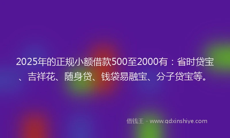 2025年的正规小额借款500至2000有：省时贷宝、吉祥花、随身贷、钱袋易融宝、分子贷宝等。