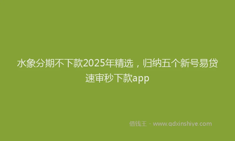 水象分期不下款2025年精选，归纳五个新号易贷速审秒下款app