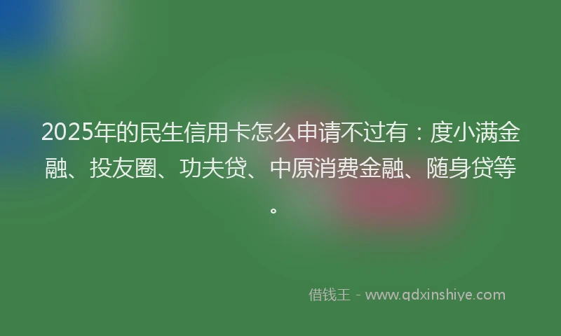 2025年的民生信用卡怎么申请不过有：度小满金融、投友圈、功夫贷、中原消费金融、随身贷等。