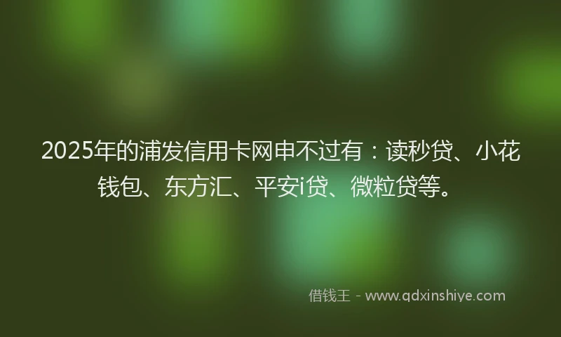 2025年的浦发信用卡网申不过有：读秒贷、小花钱包、东方汇、平安i贷、微粒贷等。