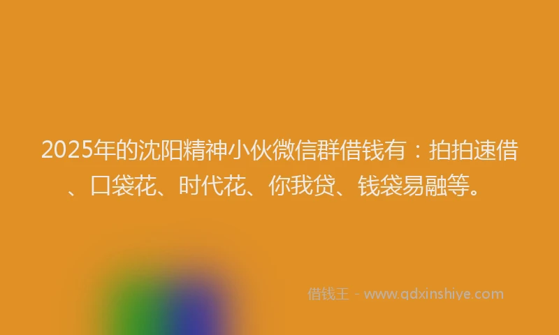 2025年的沈阳精神小伙微信群借钱有：拍拍速借、口袋花、时代花、你我贷、钱袋易融等。