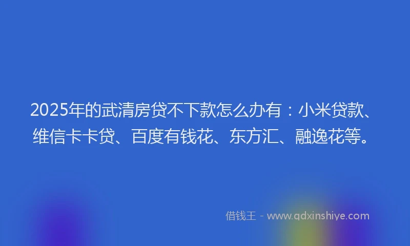 2025年的武清房贷不下款怎么办有：小米贷款、维信卡卡贷、百度有钱花、东方汇、融逸花等。