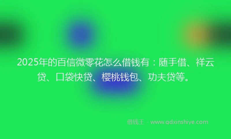 2025年的百信微零花怎么借钱有：随手借、祥云贷、口袋快贷、樱桃钱包、功夫贷等。