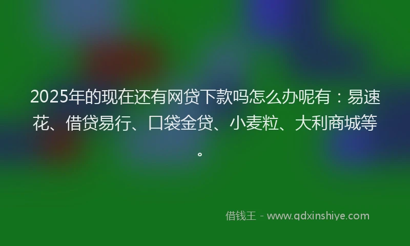 2025年的现在还有网贷下款吗怎么办呢有：易速花、借贷易行、口袋金贷、小麦粒、大利商城等。