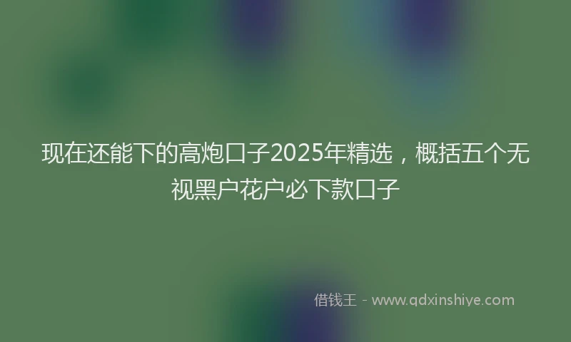 现在还能下的高炮口子2025年精选，概括五个无视黑户花户必下款口子