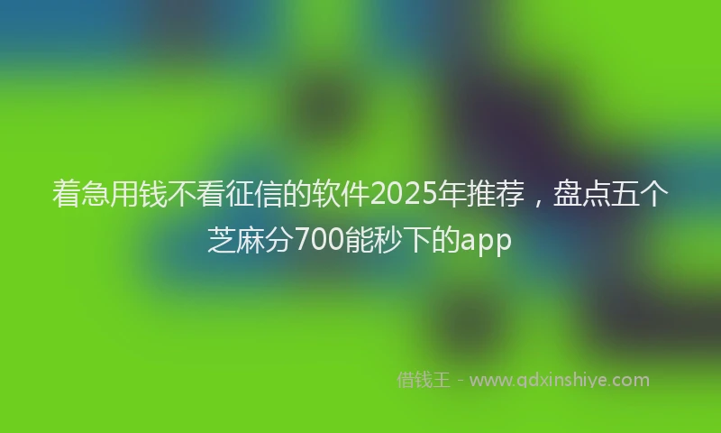 着急用钱不看征信的软件2025年推荐，盘点五个芝麻分700能秒下的app