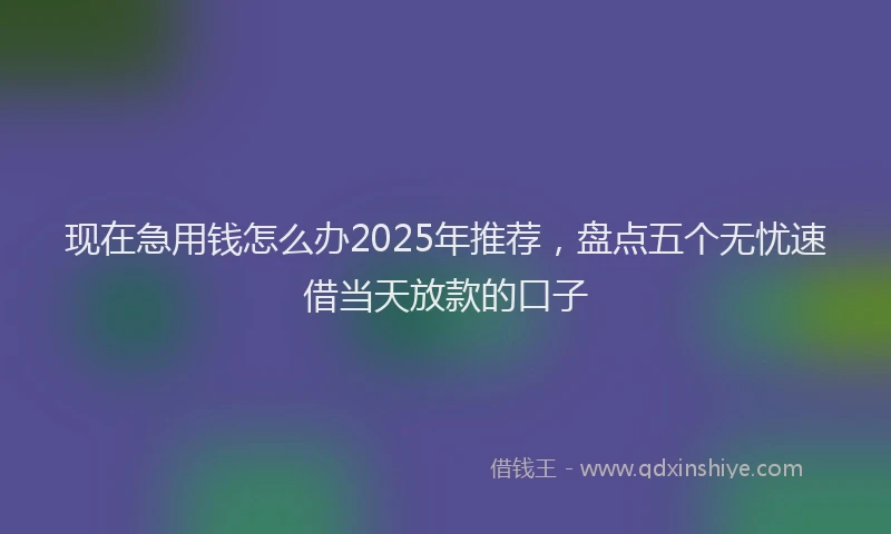 现在急用钱怎么办2025年推荐，盘点五个无忧速借当天放款的口子