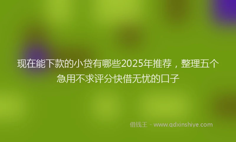 现在能下款的小贷有哪些2025年推荐，整理五个急用不求评分快借无忧的口子