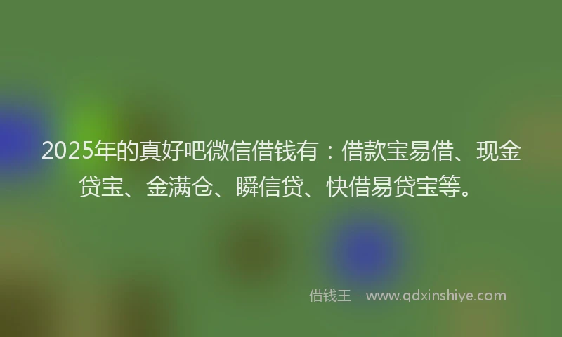 2025年的真好吧微信借钱有：借款宝易借、现金贷宝、金满仓、瞬信贷、快借易贷宝等。