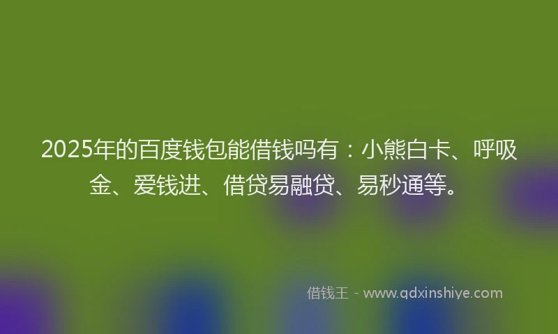 2025年的百度钱包能借钱吗有：小熊白卡、呼吸金、爱钱进、借贷易融贷、易秒通等。