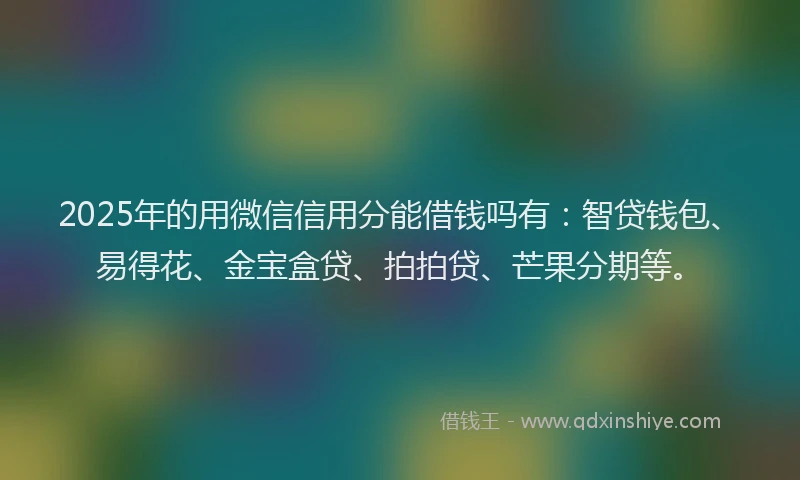 2025年的用微信信用分能借钱吗有：智贷钱包、易得花、金宝盒贷、拍拍贷、芒果分期等。