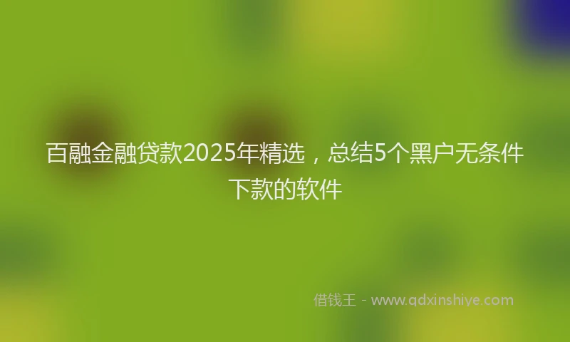 百融金融贷款2025年精选，总结5个黑户无条件下款的软件