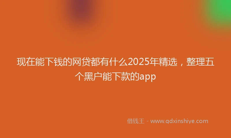 现在能下钱的网贷都有什么2025年精选，整理五个黑户能下款的app