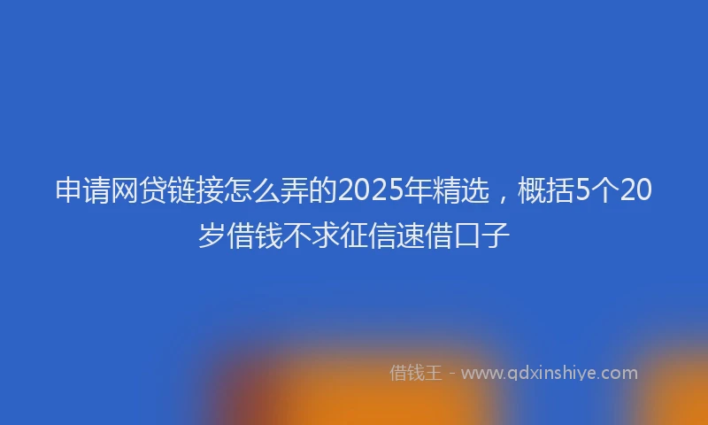 申请网贷链接怎么弄的2025年精选，概括5个20岁借钱不求征信速借口子