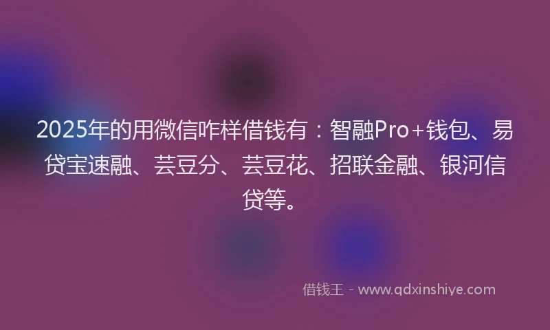 2025年的用微信咋样借钱有：智融Pro+钱包、易贷宝速融、芸豆分、芸豆花、招联金融、银河信贷等。