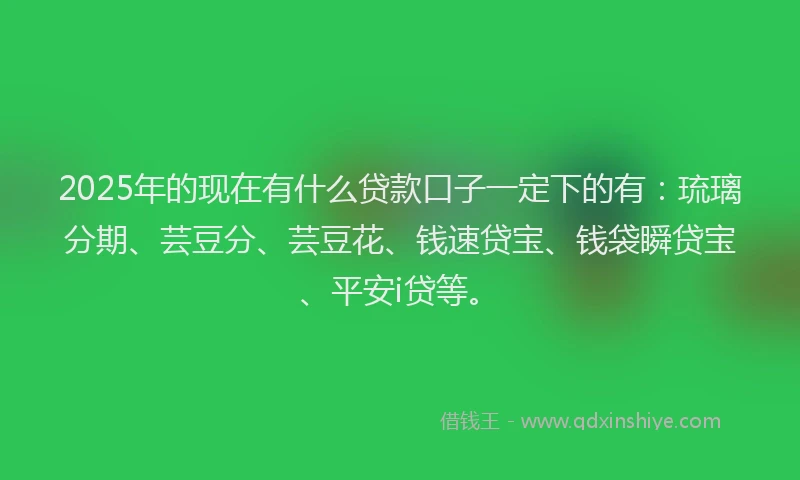 2025年的现在有什么贷款口子一定下的有：琉璃分期、芸豆分、芸豆花、钱速贷宝、钱袋瞬贷宝、平安i贷等。
