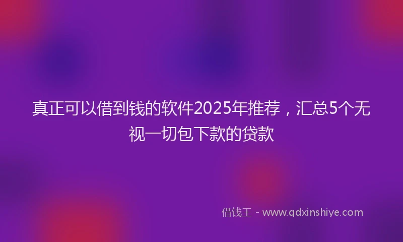 真正可以借到钱的软件2025年推荐，汇总5个无视一切包下款的贷款