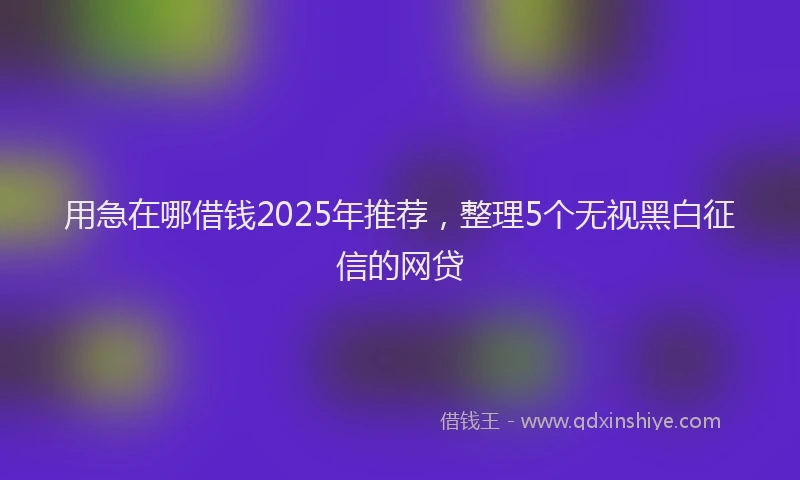 用急在哪借钱2025年推荐，整理5个无视黑白征信的网贷