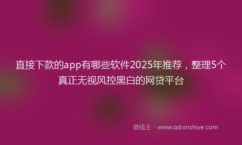 直接下款的app有哪些软件2025年推荐，整理5个真正无视风控黑白的网贷平台