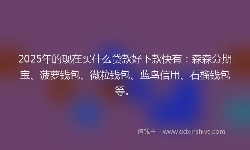 2025年的现在买什么贷款好下款快有：森森分期宝、菠萝钱包、微粒钱包、蓝鸟信用、石榴钱包等。