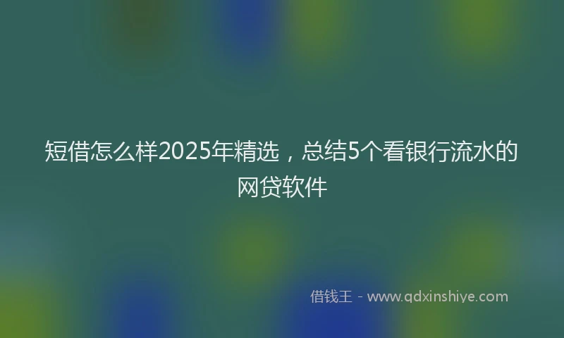 短借怎么样2025年精选，总结5个看银行流水的网贷软件