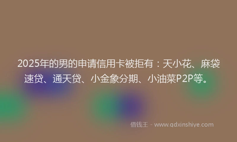 2025年的男的申请信用卡被拒有：天小花、麻袋速贷、通天贷、小金象分期、小油菜P2P等。