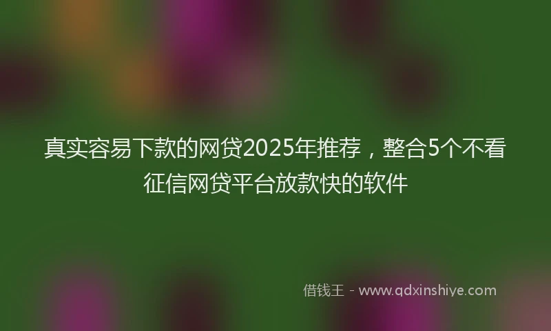 真实容易下款的网贷2025年推荐，整合5个不看征信网贷平台放款快的软件