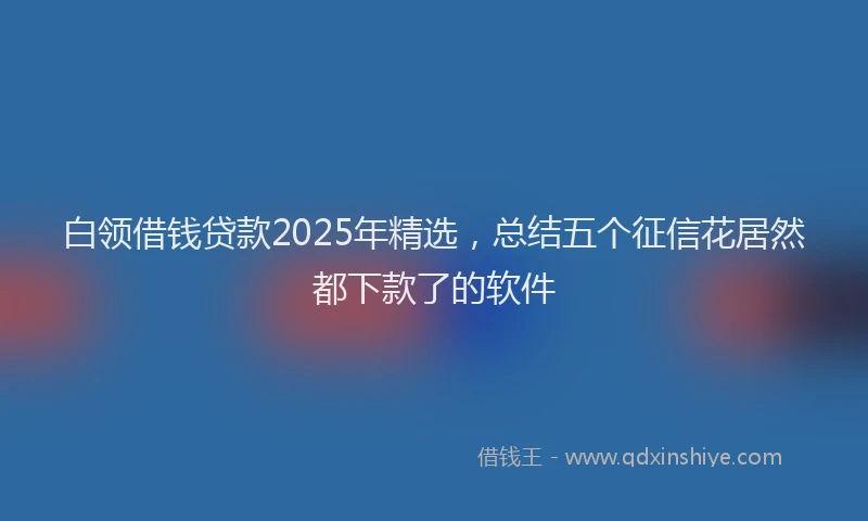 白领借钱贷款2025年精选，总结五个征信花居然都下款了的软件