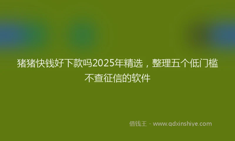 猪猪快钱好下款吗2025年精选，整理五个低门槛不查征信的软件