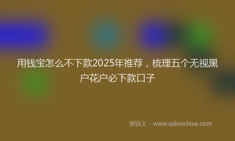 用钱宝怎么不下款2025年推荐，梳理五个无视黑户花户必下款口子
