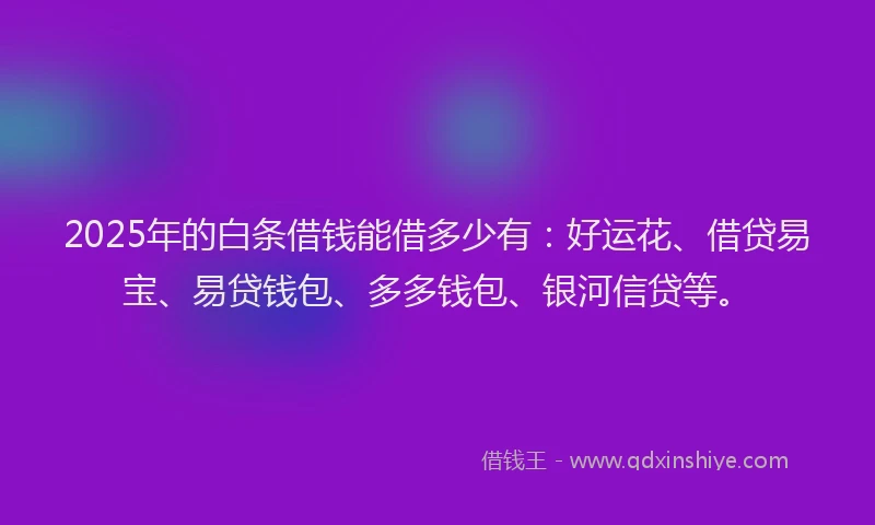 2025年的白条借钱能借多少有：好运花、借贷易宝、易贷钱包、多多钱包、银河信贷等。