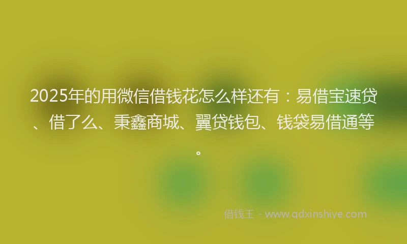 2025年的用微信借钱花怎么样还有：易借宝速贷、借了么、秉鑫商城、翼贷钱包、钱袋易借通等。