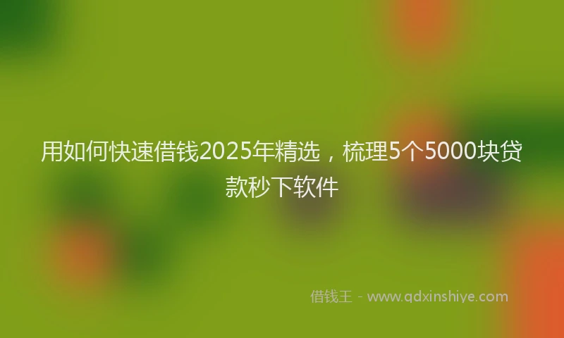 用如何快速借钱2025年精选，梳理5个5000块贷款秒下软件
