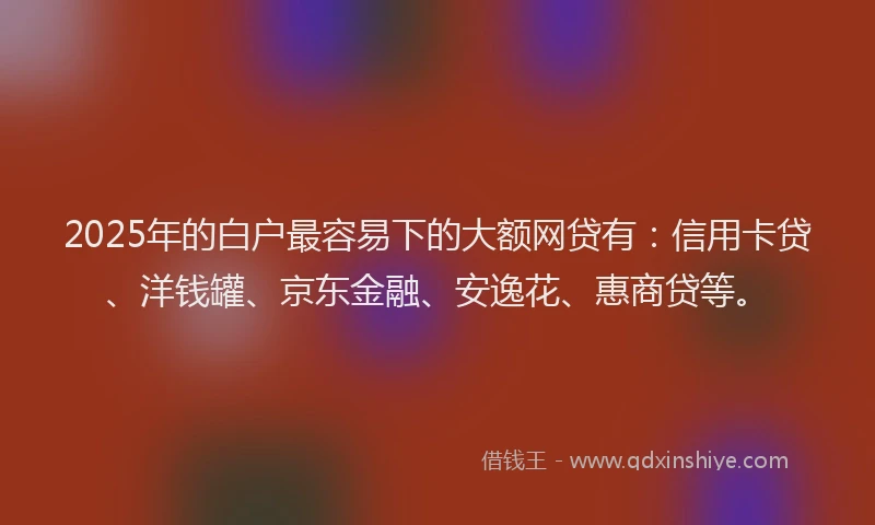 2025年的白户最容易下的大额网贷有：信用卡贷、洋钱罐、京东金融、安逸花、惠商贷等。