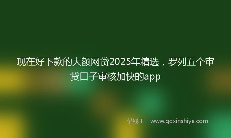 现在好下款的大额网贷2025年精选，罗列五个审贷口子审核加快的app