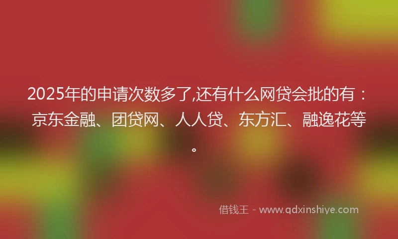 2025年的申请次数多了,还有什么网贷会批的有：京东金融、团贷网、人人贷、东方汇、融逸花等。