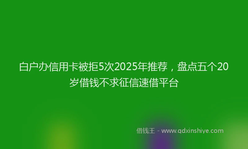 白户办信用卡被拒5次2025年推荐，盘点五个20岁借钱不求征信速借平台
